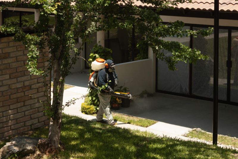 Spring Pest Management For Bug And Insect Control